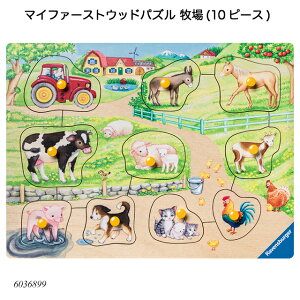 }Ct@[XgEbhpY q(10s[X) 6036899 WO\[pY qlpY mߋ xXo[K[ Ravensbuger BRIO uI