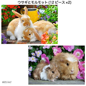 ETMƃbg(12s[X×2) 6051441 WO\[pY qlpY mߋ xXo[K[ Ravensbuger BRIO uI