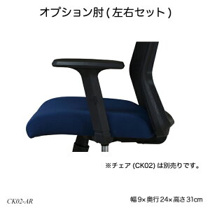 �I�v�V�����I(���E�Z�b�g) CK02-AR ��c�p�`�F�A���i �I�t�B�X�`�F�A�p�i