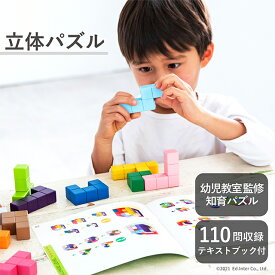 立体パズル エドインター 知育玩具 木製玩具 木製ブロック おもちゃ 型はめ 子ども玩具 ブロック遊び 入園祝い 誕生日プレゼント 知の贈り物シリーズ【YK05b】