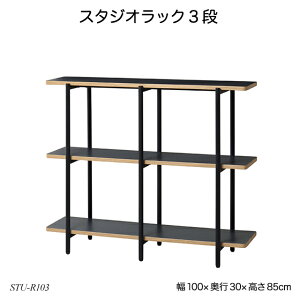 �X�^�W�I���b�N3�i STU-R103 �t���[���b�N �I�[�v�����b�N ���[�Ƌ� studio�V���[�Y