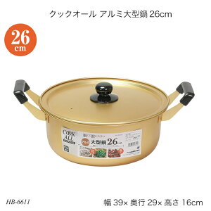 NbNI[ A~^26cm HB-6611  Wt KXΐp A~  