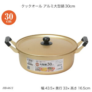 NbNI[ A~^30cm HB-6613  Wt KXΐp A~  