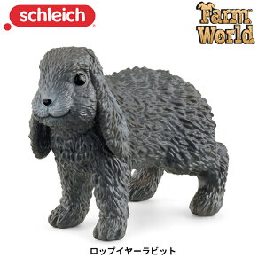 bvC[rbg 13935 tBMA t@[[h VCq