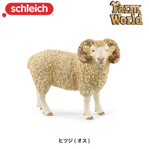 qcW (IX) 13937 tBMA t@[[h VCq