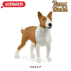 ueA 13966 tBMA t@[[h VCq