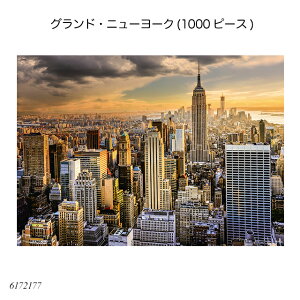 OhEj[[N(1000s[X) 6172177 WO\[pY lpY AhoXg ㋉җp mߋ xXo[K[ Ravensbuger BRIO uI