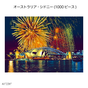 I[XgAEVhj[(1000s[X) 6172207 WO\[pY lpY AhoXg ㋉җp mߋ xXo[K[ Ravensbuger BRIO uI