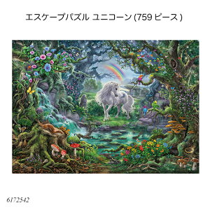 GXP[vpY jR[(759s[X) 6172542 WO\[pY lpY pY  AhoXg ㋉җp mߋ xXo[K[ Ravensbuger BRIO uI