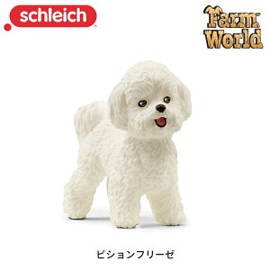 rVt[[ 13963   tBMA t@[[h WI} VCq Schleich