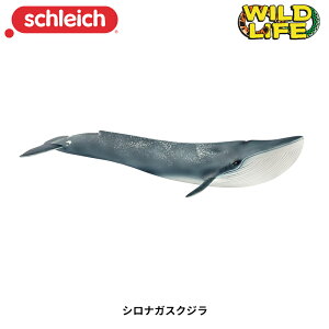 ViKXNW 14806  NW ~  tBMA ChCt WI} VCq Schleich