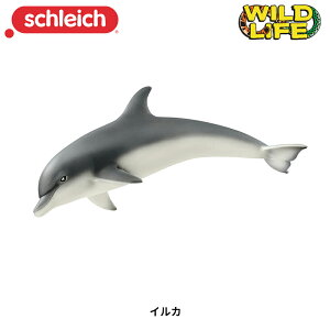 CJ 14808  tBMA ChCt WI} VCq Schleich