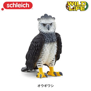 IEMV 14862  tBMA ChCt WI} VCq Schleich