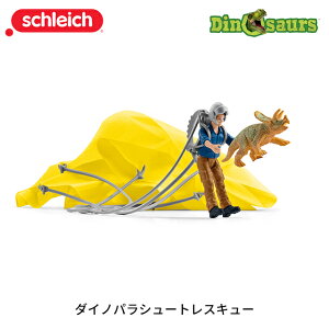 _CmpV[gXL[ 41471  tBMA fBmTEX _Ci\[ VCq Schleich