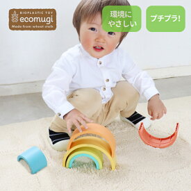 エド・インター ecomugi エコムギ 826195 スタッキングタワーレインボー