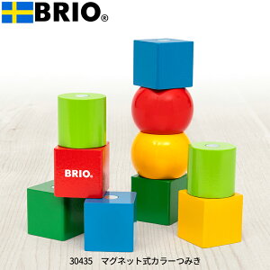 uI BRIO }OlbgJ[݂ 30435 ςݖ ϖ ubNV mߋ  ubN  1   킢