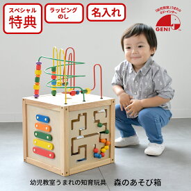 森のあそび箱 GENI（ジェニ） エドインター 806487 木製知育おもちゃ 名入れ対応 特別ラッピング