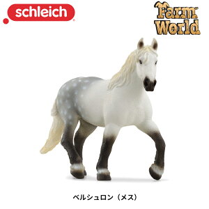yV(X) 13971  n E}  tBMA t@[[h Aj} VCq Schleich