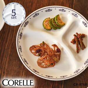 R[t`hC[ `M 5Zbg CP-8768 R[ Zbg `M   dqWΉ H@Ή I[uΉ ɂ H  킢 l