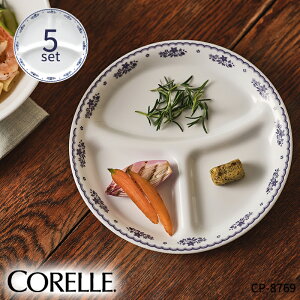 R[t`hC[ `M 5Zbg CP-8769 R[ Zbg `M   dqWΉ H@Ή I[uΉ ɂ H  킢 l