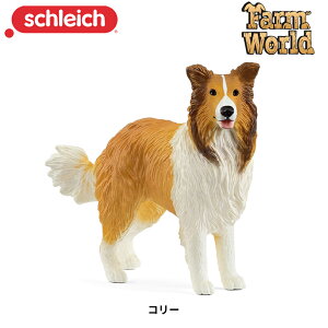 R[ 13998  tBMA t@[[h WI} VCq