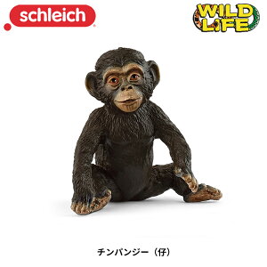 VCq schleich `pW[(e) j̎q ̎q 3  tBMA ChCt WI} 14884  RA schleich