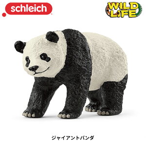 WCAgp_ 14885  tBMA ChCt WI} VCq