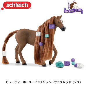 r[eB[z[XECObVTubh(X) 42582  tBMA z[XNu \tBAr[eB WI} VCq