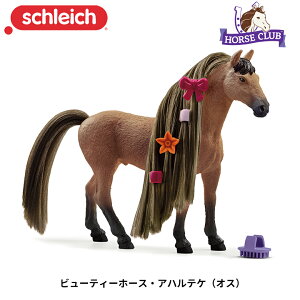 r[eB[z[XEAneP(IX) 42621  tBMA z[XNu \tBAr[eB WI} VCq