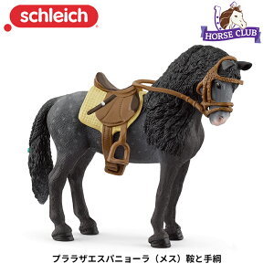 vUGXpj[(X) ƂƎj 42708  n tBMA z[XNu WI} VCq