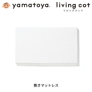 a yamatoya rORbgp~}bgX V[ct j̎q ̎q V IvV xr[xbhpi ւp  킢  yamatoyaFX