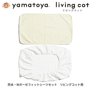 a yamatoya rORbgphV[cEWK[[tBbgV[cZbg j̎q ̎q V IvV xr[xbhpi  킢  yamatoyaFX