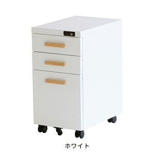 fXNS OFK-3759 CS LX^[t t X ؐ fXN[ [Ƌ TChbN TChS Lrlbg   킢yYK06cmz