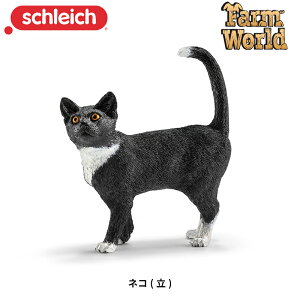 lR() 13770 tBMA t@[[h VCq