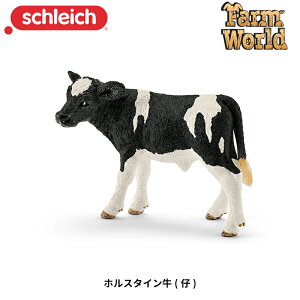 zX^C(e) 13798 tBMA t@[[h VCq