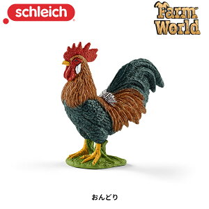 ǂ 13825 tBMA t@[[h VCq