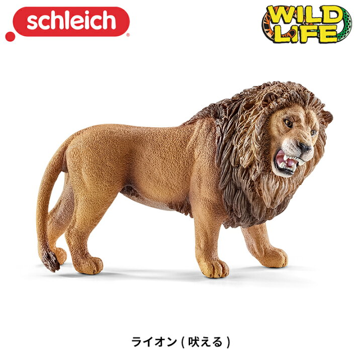 楽天市場 ライオン 吠える 動物フィギュア ワイルドライフ シュライヒ 子供家具 玩具のファーストキッズ