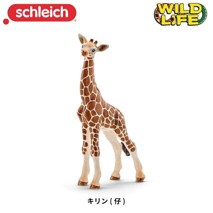 楽天市場】キリン（仔） 動物フィギュア 14751 Wild Life ワイルド 