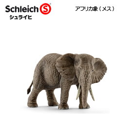 アフリカ象(メス) 14761 動物フィギュア ワイルドライフ シュライヒ