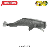 楽天市場】マッコウクジラ（フィギュア｜コレクション）：ホビーの通販