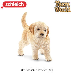 S[fg[o[(e) 16396 tBMA t@[[h VCq