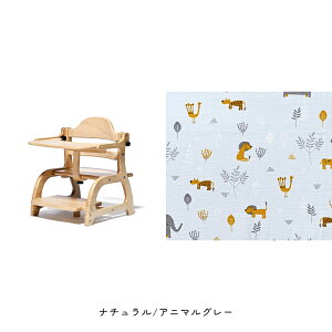 a yamatoya [`FA3 j̎q ̎q 7 o[Ebh xr[`FA [`FA ؐ`FA  킢  yamatoyaFXyYK11cmz