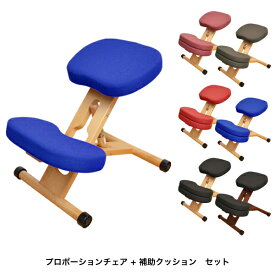 プロポーションチェア(補助クッション付) CH-88W+CN-8C キッズチェア S字チェア リビング椅子 学習椅子 座面高さ調節可能