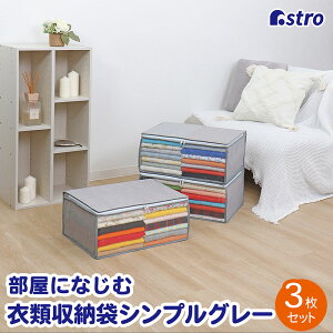 yő20%OFFN[|zߗ [P[X [{bNX [ ߗގ[ O[ 3g sDz ʋCǍD ق菜 ςݏd ܂肽 ۊǃP[X ^I    RXv ߑ