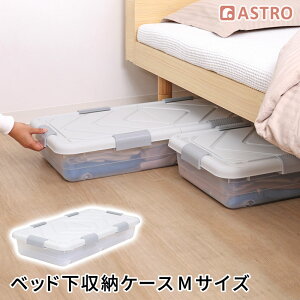 xbh[P[X c݃LX^[t ߑP[X vX`bNP[X NA MTCY W80×D40×H15cm ^ X ߗގ[{bNX ςݏd˂ł Rei{bNX ^ Ԏ[ 