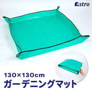 yő20%OFFN[|zh |V[g AւV[g 130×130cm ` 񂹐A Aւ K[fjOg[ K[fjOV[g K[fjO veBOV[g ܂肽 d