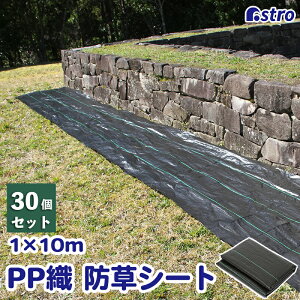 yő20%OFFN[|zhV[g 1×10m 30g Dz G΍ Ռ  ϋv V[g NXV[g ƒ؉ K[fjO | _ AXg 505-16