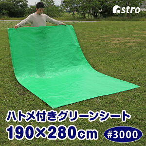 yԌzu[V[g O[V[g  #3000 1.9×2.8m ngt W[V[g rj[V[g {V[g OhV[g sNjbN  JR΍ h }u 䕗 n