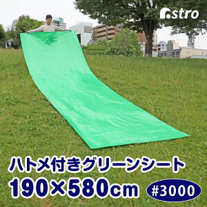 yԌzu[V[g O[V[g  #3000 1.9×5.8m ngt W[V[g rj[V[g {V[g OhV[g sNjbN  JR΍ h }u 䕗 n