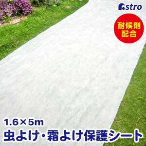 yXő20%OFFN[|zyyV1ʁz_ƗpsDzV[g1.6×5m |p 앨 یV[g }`OV[g ۉ 핢 悯 h h ێ K[fjO ƒ؉ AXg 520-43